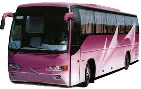 Services Provider of Bus Booking